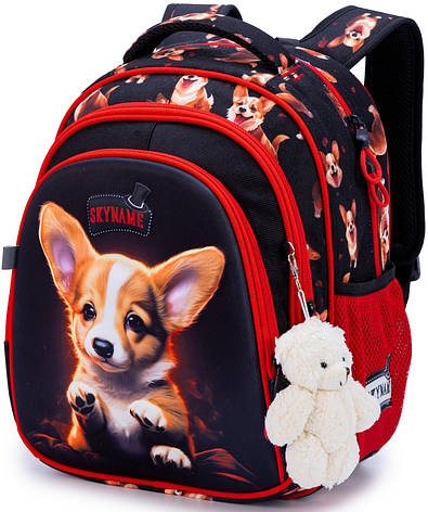 Рюкзак шкільний Winner /SkyName R2-213, фото 1