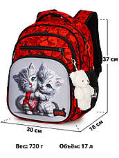 Рюкзак шкільний Winner /SkyName R3-279, фото 3