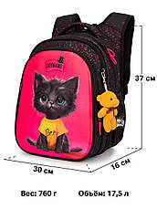 Рюкзак шкільний Winner /SkyName R1-069, фото 3