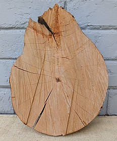 Зріз дерева для творчості, d 280х210мм.