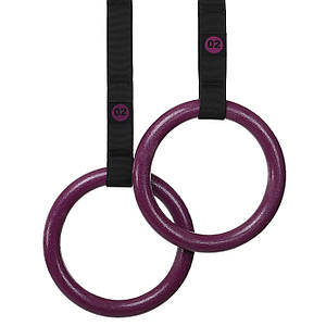 Кільця гімнастичні з посиленими стропами для кросфіту EZOUS ABS GYM RINGS E-01 (стрічки-PL, р-р