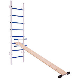 Шведська стінка зі знімною дошкою-профілактор із переставною кареткою Тонус 4 SP-Planeta L-2403 (СТ Тонус 4)