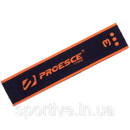 Гумка для вправ стрічка опору LOOP BANDS PROESCE HIP LOOP FI-0896-3 (нейлон, латекс, розмір, фото 1