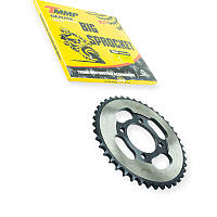 Зірка ведена 428-41 внутрішня R=54  мопед Дельта