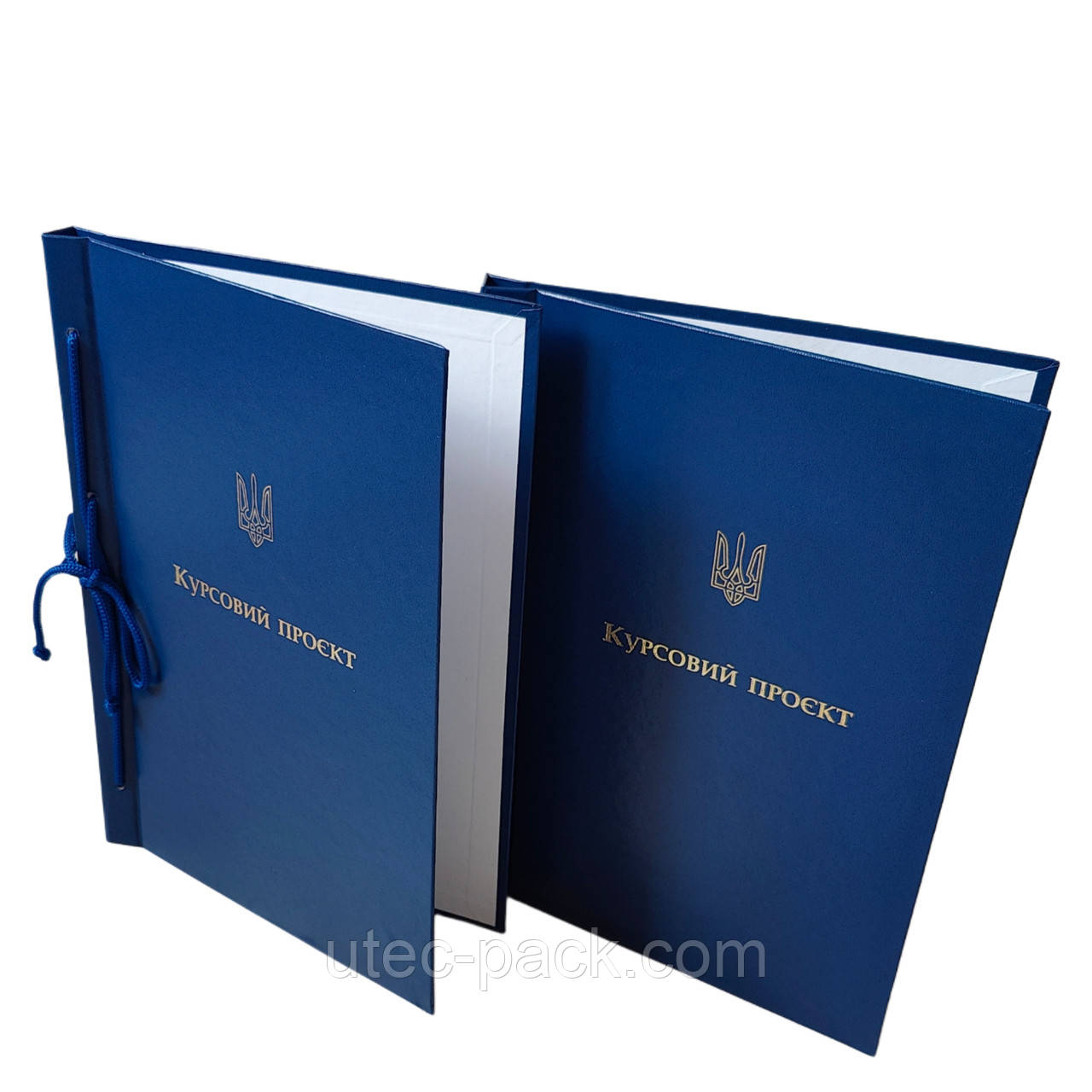 Папка для Курсового проекту для твер. палітурки, тиснення під золото, синя 215×305 мм (20мм) (уп.5шт)