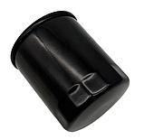 Фільтр масляний Segway 1000cc Villain Fugleman UT10 SX10 F02G00500001 E02-G005000-000-00, фото 2