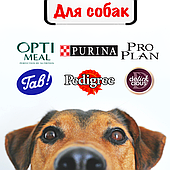 Корм для собак