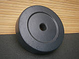 Диск для гантелей та штанг граніліт армований 2,5 кг / 26 мм / 1 шт, фото 4