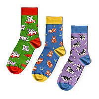 Креативные носки с принтом мужские / женские разноцветные «Хвостатая тусовка» 3 пары / Набор носков с рисунком