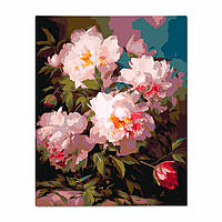 Красива картина за номерами на полотні 40х50 см для малювання з акриловими фарбами і пензлями, квіти «Пудрові півонії»