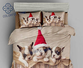 Комплект постільної білизни Colorful Home фланель Євро 200x220 NY-0006 Eu