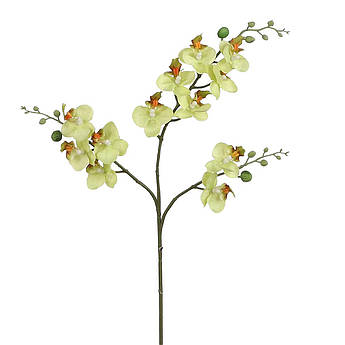 Штучна квітка фаленопсис у жовто-зеленому кольорі Edelman