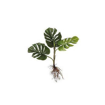 Штучна рослина Монстера зелена без горщика Edelman