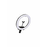 Лампа Кольцевая LED RL-19 Original 46 cm 18" | Remote I 3m cable with plug  I 3 holder I handle bag, фото 3