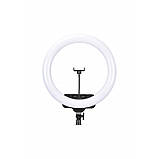 Лампа Кольцевая LED RL-19 Original 46 cm 18" | Remote I 3m cable with plug  I 3 holder I handle bag, фото 5