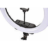 Лампа Кольцевая LED RL-19 Original 46 cm 18" | Remote I 3m cable with plug  I 3 holder I handle bag, фото 6