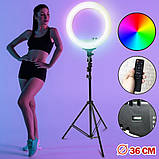 Лампа Кольцевая LED RL-14 RGB Original 36cm  36w  | 192 Lights | Remote I 3m cable with plug  I 3 holder I, фото 3
