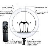 Лампа Кольцевая LED RL-14 RGB Original 36cm  36w  | 192 Lights | Remote I 3m cable with plug  I 3 holder I, фото 6