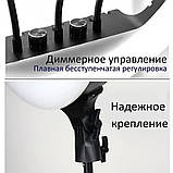 Лампа Кольцевая LED RL-14 RGB Original 36cm  36w  | 192 Lights | Remote I 3m cable with plug  I 3 holder I, фото 9