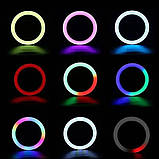 Лампа Кільцева LED RL-18 RGB Original 46 cm 18" | 416 Lights, фото 5