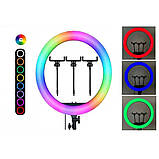 Лампа Кольцевая LED RL-21 RGB Original 54 cm  65w | 416 Lights | Remote I 3m cable with plug  I 3 holder I, фото 3