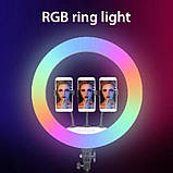 Лампа Кольцевая LED RL-21 RGB Original 54 cm  65w | 416 Lights | Remote I 3m cable with plug  I 3 holder I, фото 5