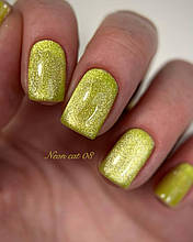 Гель-лак DANNY Neon Cat 8 ml №08