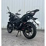 МОТОЦИКЛ BS-200 Forte Об'єм 200 см3 на шинах 18''/18'' 13.5 к.с купити в інтернет-магазині дешево, фото 6