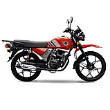 МОТОЦИКЛ Forte SK150-B5Y Об'єм 150 см3 шини 18"/18" 12к.с. купити в інтернет-магазині дешево, фото 2