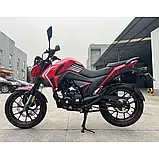 Мотоцикл BS-250 Forte Об'єм 233 см3 шини 17''/17'' 19 к.с. купити в інтернет-магазині дешево, фото 3