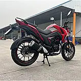 Мотоцикл BS-250 Forte Об'єм 233 см3 шини 17''/17'' 19 к.с. купити в інтернет-магазині дешево, фото 5