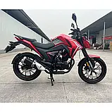 Мотоцикл BS-250 Forte Об'єм 233 см3 шини 17''/17'' 19 к.с. купити в інтернет-магазині дешево, фото 7