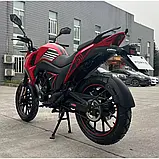 Мотоцикл BS-250 Forte Об'єм 233 см3 шини 17''/17'' 19 к.с. купити в інтернет-магазині дешево, фото 8