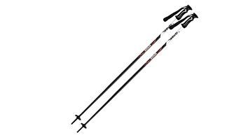 Палиці лижні