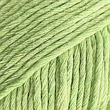 Пряжа Bio Cotton/Біо Котон, салатовий 10601, Etrofil, фото 2