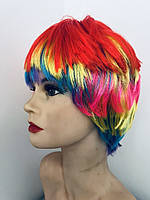 Перука різнобарвна, яскрава.