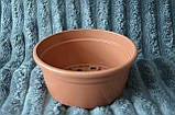 Горщик-миска для хризантем 3 л-22 см (теракот) Україна, фото 4