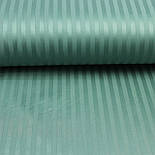 Страйп сатин темний евкаліпт 1*1см ширина 240 см № SB-2048, фото 4