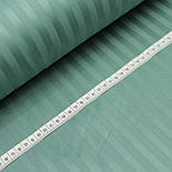 Страйп сатин темний евкаліпт 1*1см ширина 240 см № SB-2048, фото 5