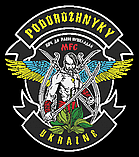 Розробка схеми для бісеру за вашим фото або малюнку, фото 10