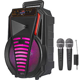 Аккумуляторная переносная акустика BIG THUNDERER usb/mp3/fm/bt+2 од радіо мікрофона