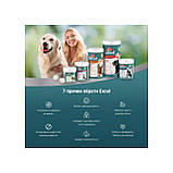 Вітаміни 8in1 Excel Glucosamine 55 таб. для підтримки здоров'я суглобів, фото 5