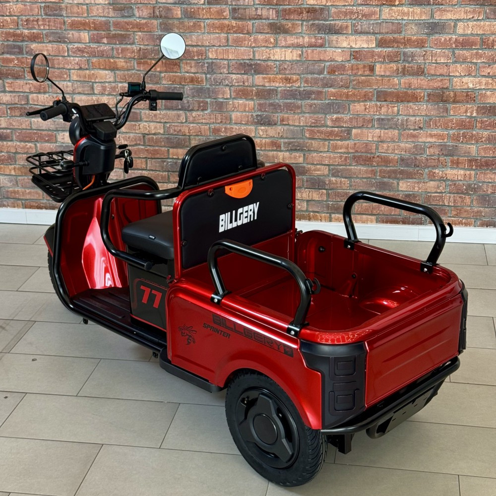 Електричний трицикл акумуляторний з кузовом Corso BIG SIG7 1000W-72Вт-23Ah шини 10"-10" купити в