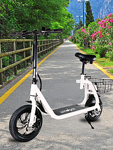 Електросамокат ECOBIKE Windgoo B9 500W 10Ah 12д білий складаний міський AuraHome