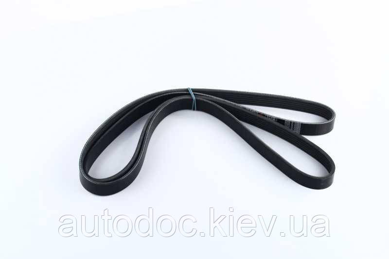 Ремінь поліклін. 6PK2010 (вир-во DONGIL), арт.6PK2010, фото 1