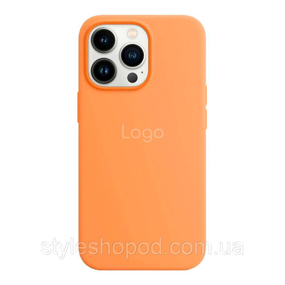 Чохол Silicone Case with MagSafe для iPhone 13 Pro, фото 1