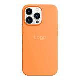 Чохол Silicone Case with MagSafe для iPhone 13 Pro, фото 11