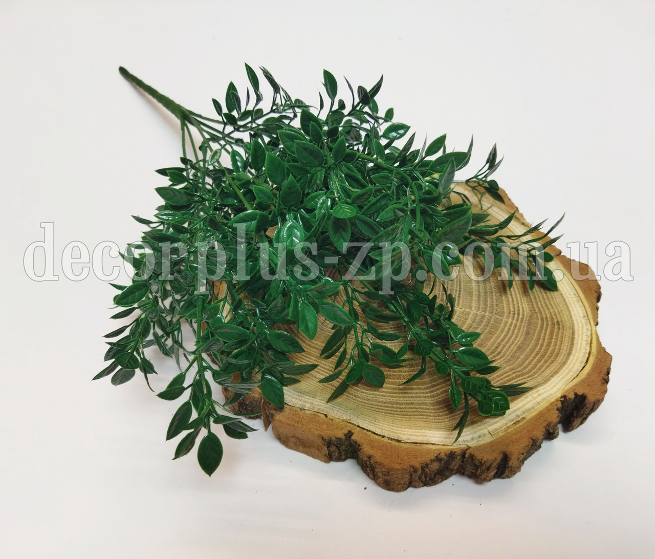 Букет рускус дрібний, темно-зелений (7 гілок), фото 1