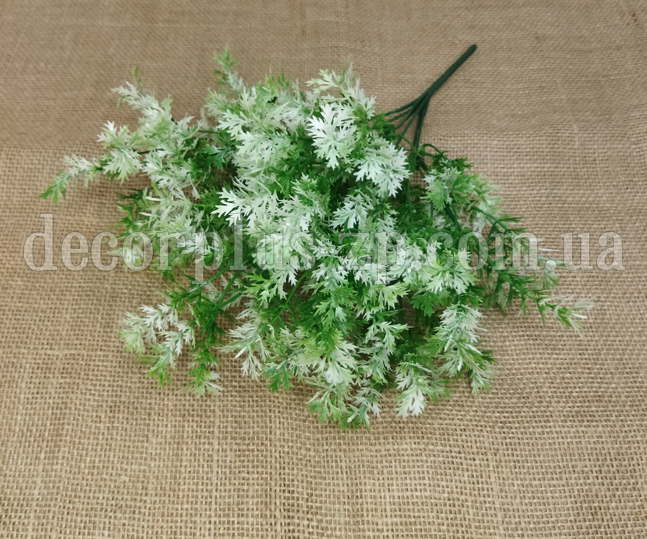 Букет ягелю (5 гілок) , білий, фото 1