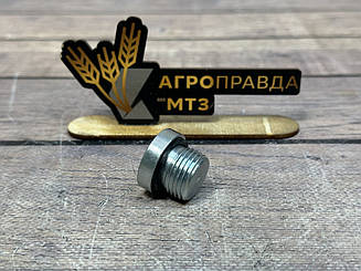 Заглушка секції гідророзподільника Badestnost P80 20х1/2 (під внутрішній шестигранник)
